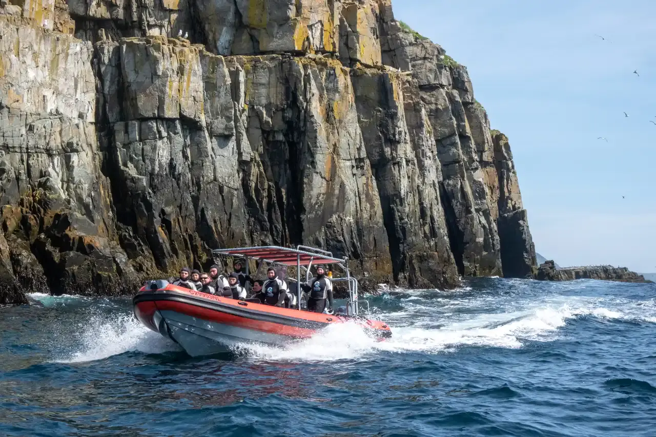 Aventuras de la Búsqueda Oceánica