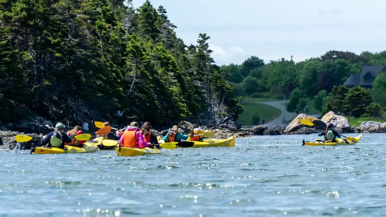 Aventuras de la Búsqueda Oceánica